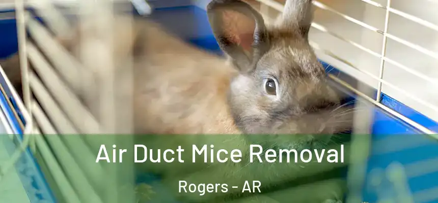 Air Duct Mice Removal Rogers - AR
