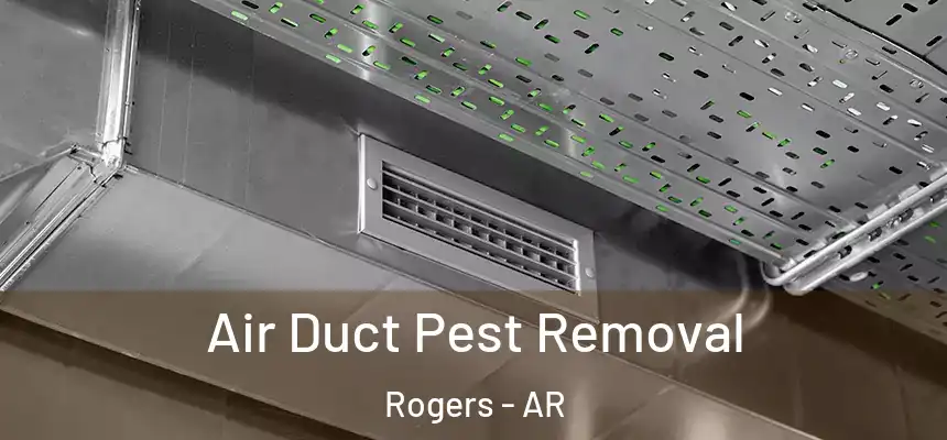 Air Duct Pest Removal Rogers - AR