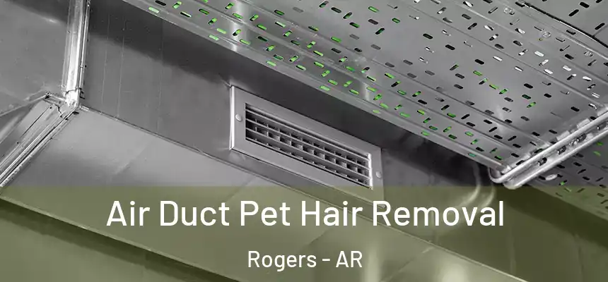 Air Duct Pet Hair Removal Rogers - AR