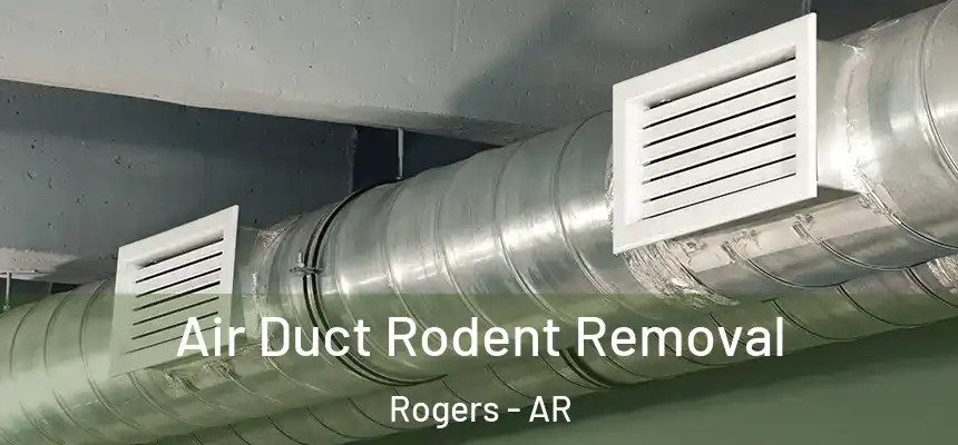 Air Duct Rodent Removal Rogers - AR