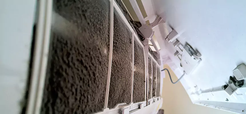 Preventive Air Duct Bacteria Removal in Rogers