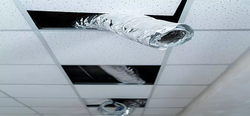 Affordable HVAC Sanitizing After Pest Removal in Rogers