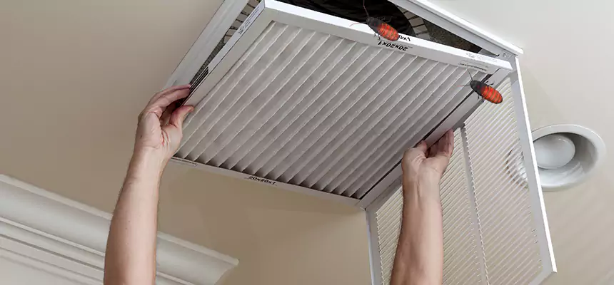 Our Insect Removal from Air Ducts Services in Rogers, AR