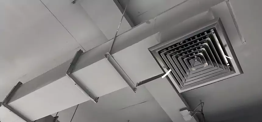 Our Rodent Droppings In Vents Services in Rogers, AR