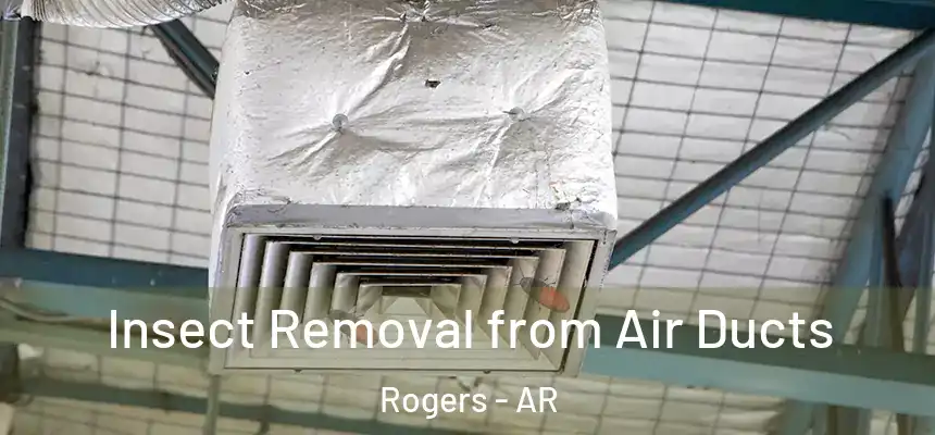 Insect Removal from Air Ducts Rogers - AR