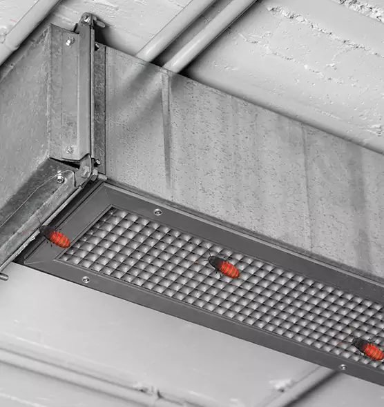 Affordable Insect Removal from Air Ducts in Rogers, AR