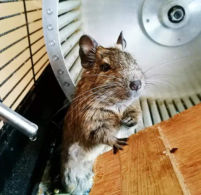 Why Homeowners & Businesses Trust Us Rogers, AR