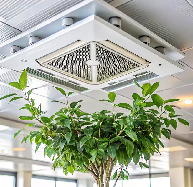 Why Homeowners & Businesses Trust Us in Rogers, AR?